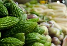 Karela bitter melons